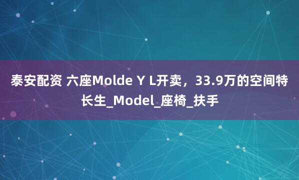 泰安配资 六座Molde Y L开卖，33.9万的空间特长生_Model_座椅_扶手