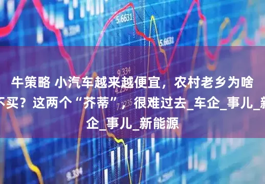 牛策略 小汽车越来越便宜，农村老乡为啥还是不买？这两个“芥蒂”，很难过去_车企_事儿_新能源