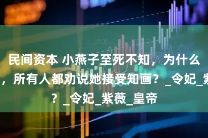 民间资本 小燕子至死不知，为什么除了晴儿，所有人都劝说她接受知画？_令妃_紫薇_皇帝