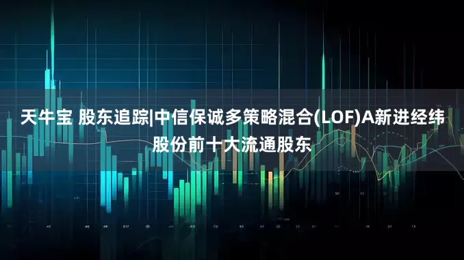 天牛宝 股东追踪|中信保诚多策略混合(LOF)A新进经纬股份前十大流通股东