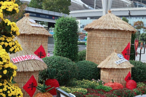 易云达配资 金秋菊展亮相武汉站，数万株菊花打造“大学之城”人文画卷