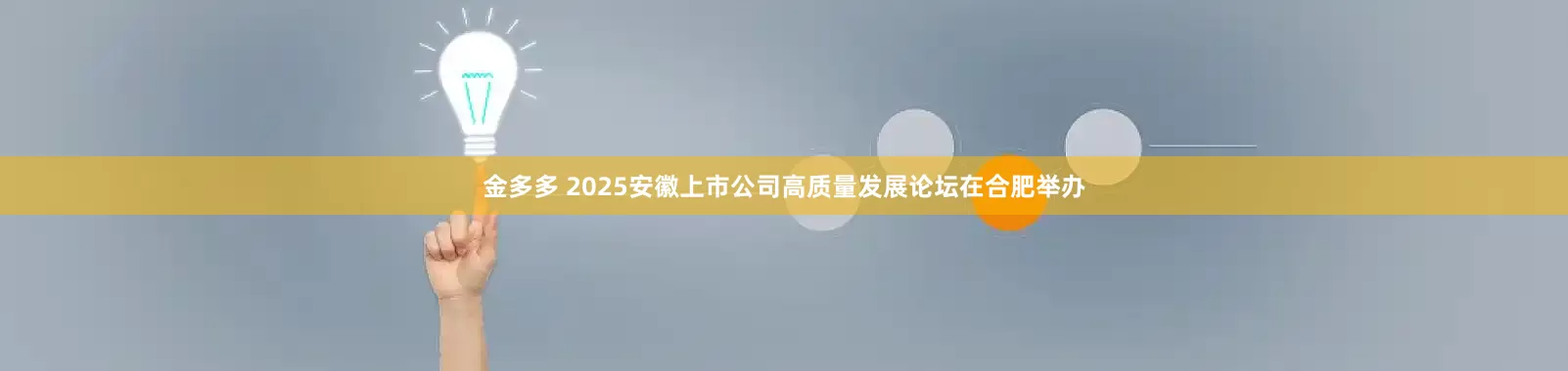 金多多 2025安徽上市公司高质量发展论坛在合肥举办
